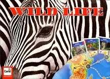 Spiel 80.0